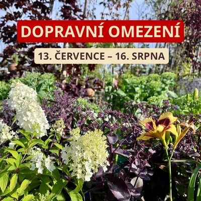 Dopravní omezení v létě